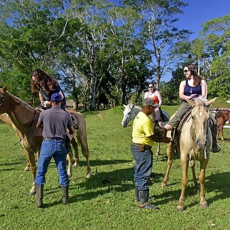 Banana Bank Lodge & Jungle Horseback Adventures Belmopan Buitenkant foto