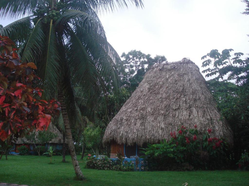 Banana Bank Lodge & Jungle Horseback Adventures Belmopan Buitenkant foto