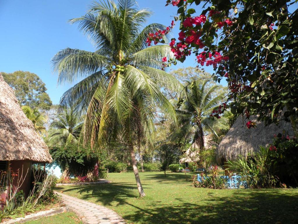 Banana Bank Lodge & Jungle Horseback Adventures Belmopan Buitenkant foto