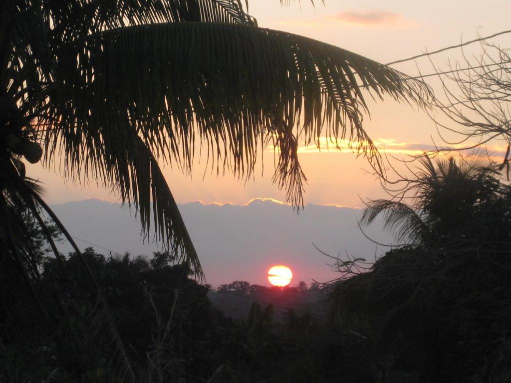 Banana Bank Lodge & Jungle Horseback Adventures Belmopan Buitenkant foto