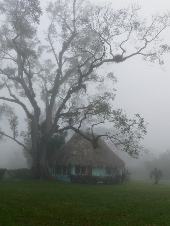 Banana Bank Lodge & Jungle Horseback Adventures Belmopan Buitenkant foto