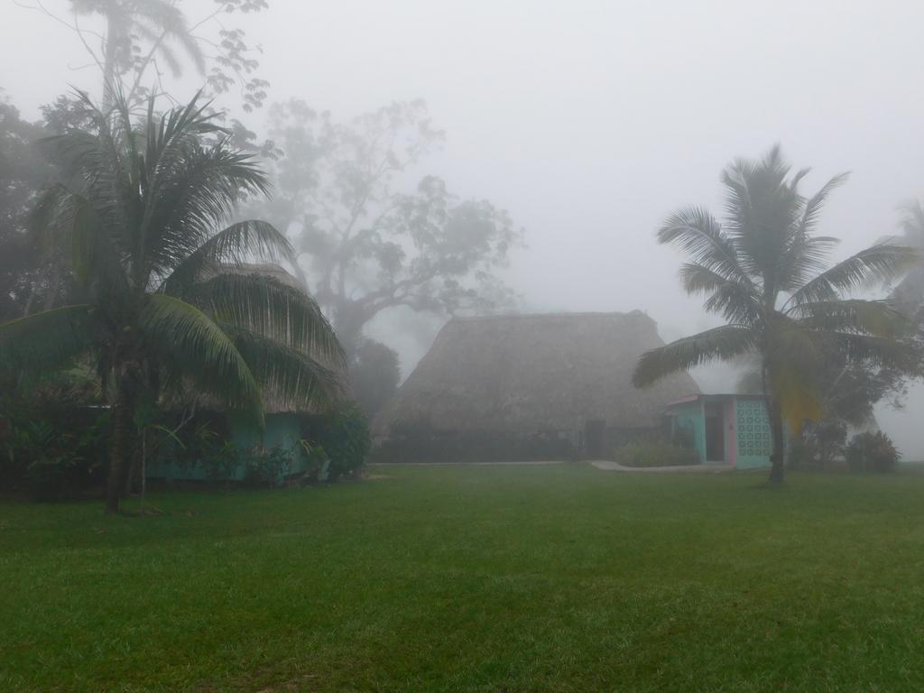 Banana Bank Lodge & Jungle Horseback Adventures Belmopan Buitenkant foto