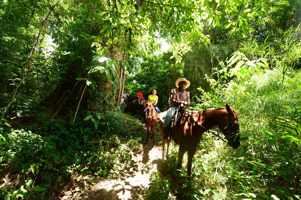 Banana Bank Lodge & Jungle Horseback Adventures Belmopan Buitenkant foto