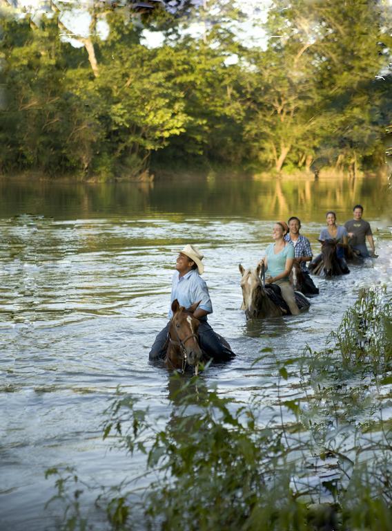 Banana Bank Lodge & Jungle Horseback Adventures Belmopan Buitenkant foto