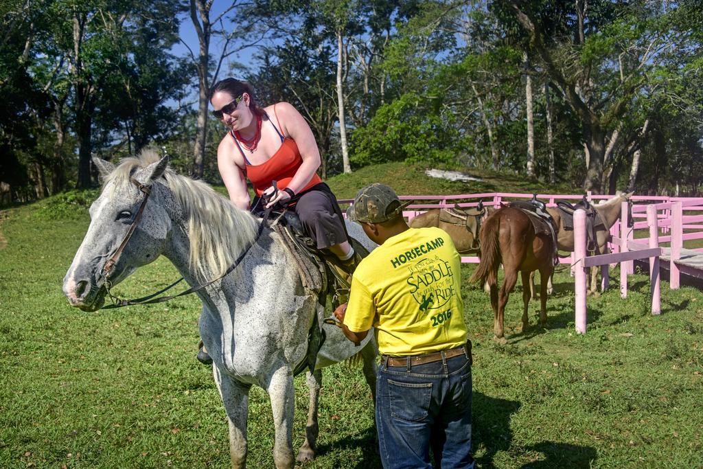 Banana Bank Lodge & Jungle Horseback Adventures Belmopan Buitenkant foto