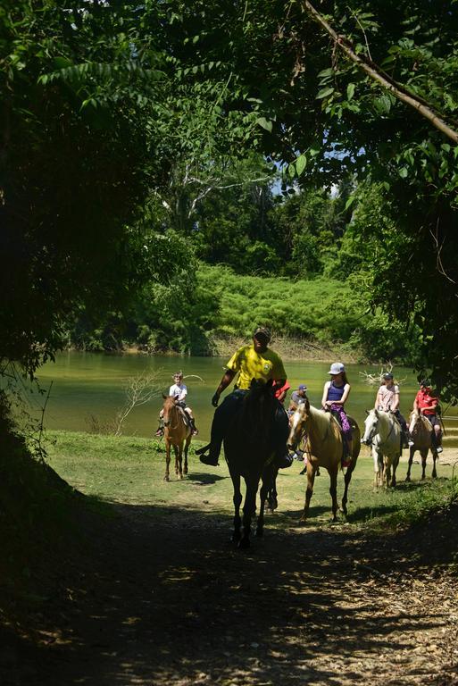 Banana Bank Lodge & Jungle Horseback Adventures Belmopan Buitenkant foto