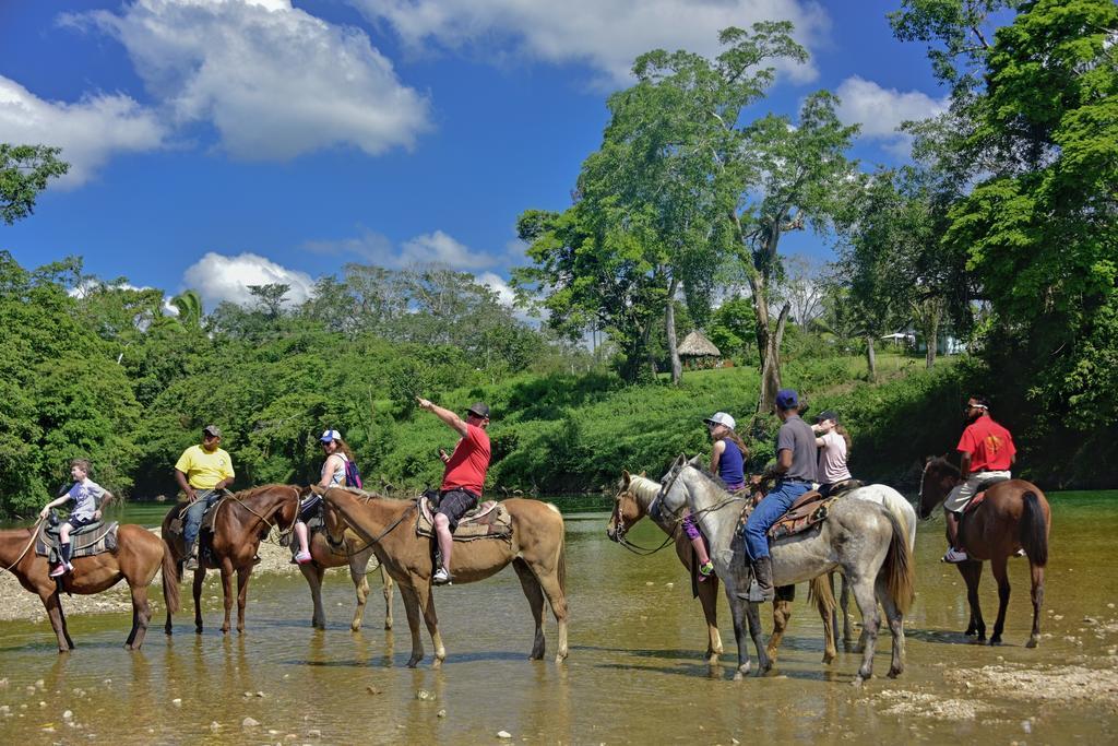 Banana Bank Lodge & Jungle Horseback Adventures Belmopan Buitenkant foto