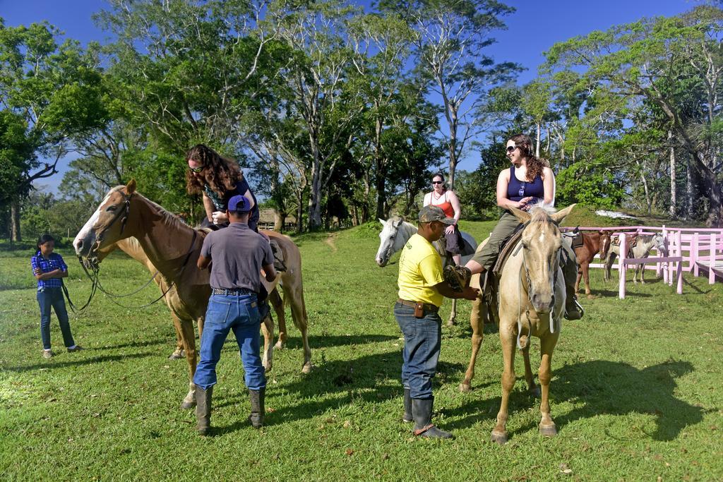 Banana Bank Lodge & Jungle Horseback Adventures Belmopan Buitenkant foto