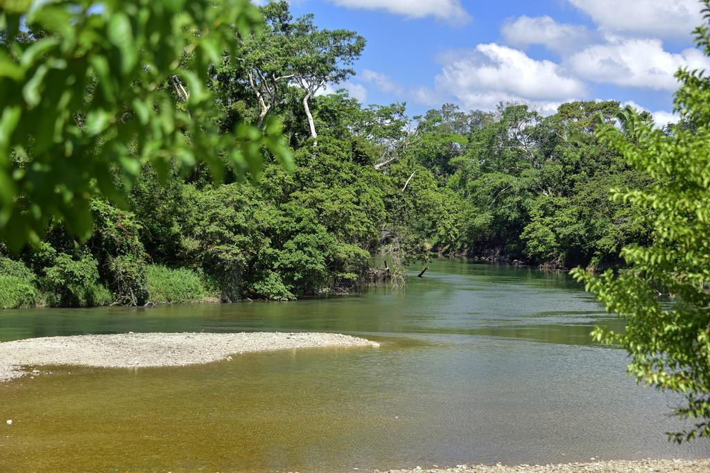 Banana Bank Lodge & Jungle Horseback Adventures Belmopan Buitenkant foto