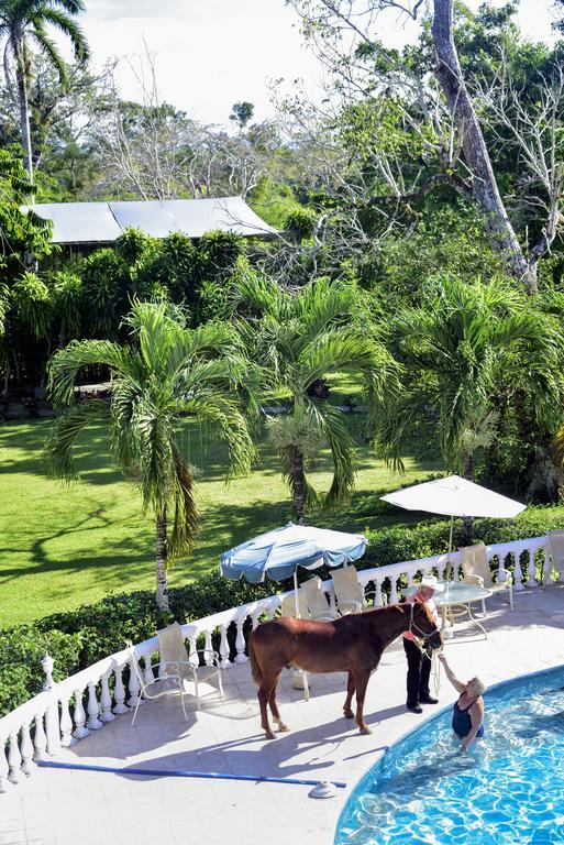 Banana Bank Lodge & Jungle Horseback Adventures Belmopan Buitenkant foto